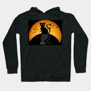 cit cat night Hoodie